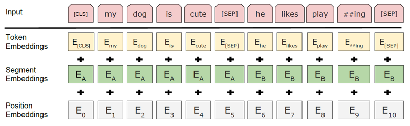 bert-input