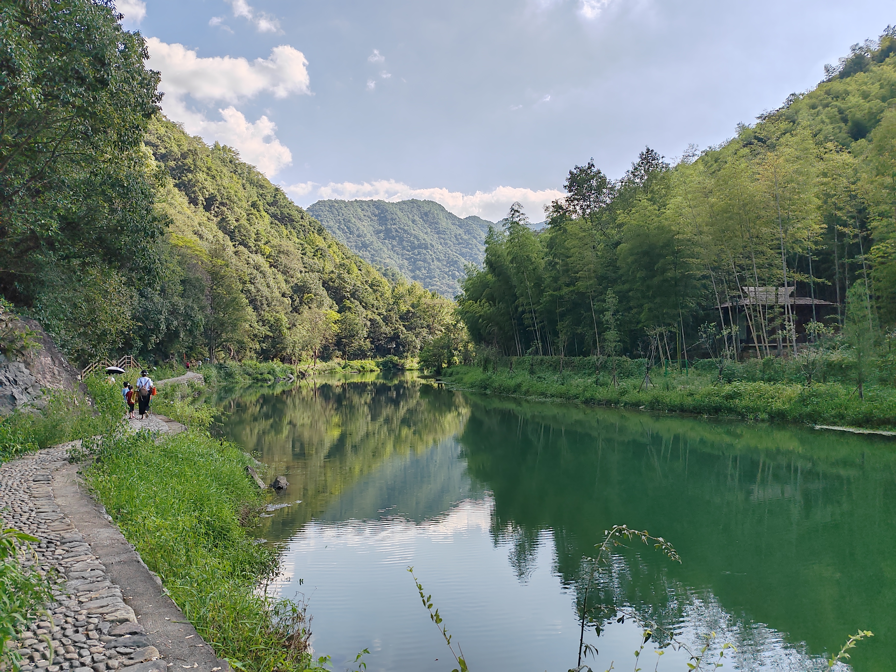 green-water-and-forest-on-ancient-road